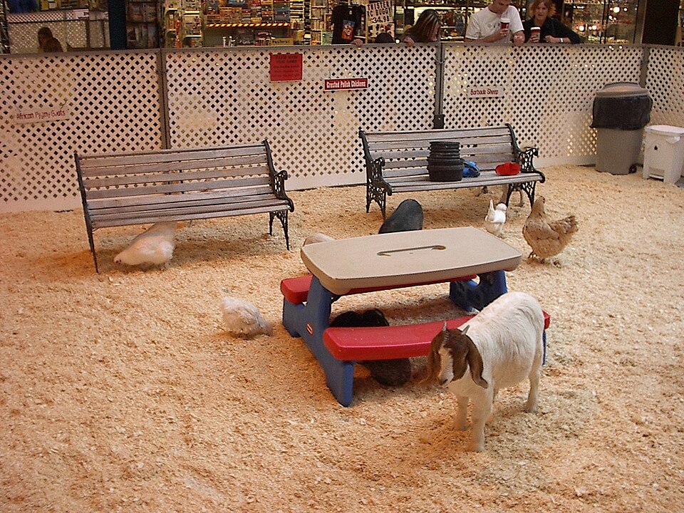 Kinderboerderij Coebel