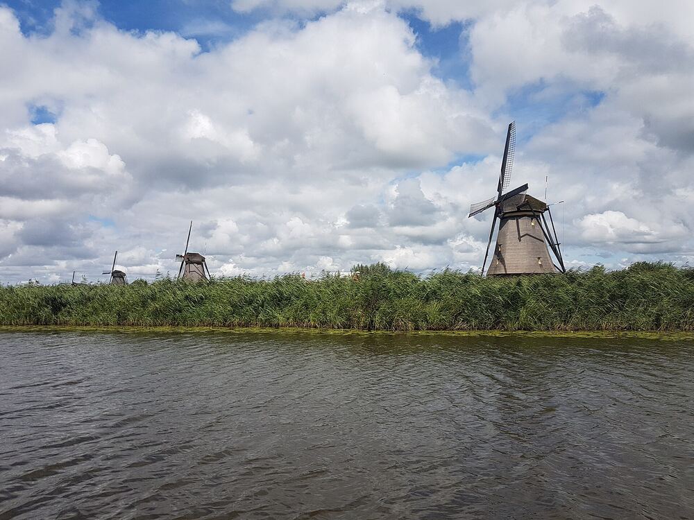 De molens van Kinderdijk langs het water