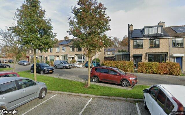 Speeltuin Steenbreekvaren