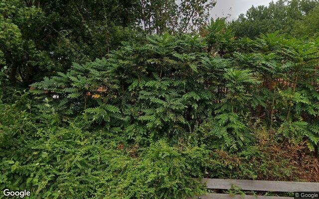 Speeltuin Vereniging Crooswijk