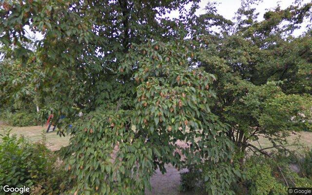 Speeltuin Marnixlaan
