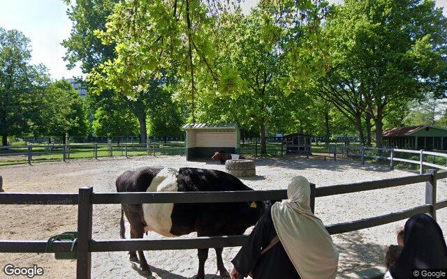 Kinderboerderij De Trotse Pauw