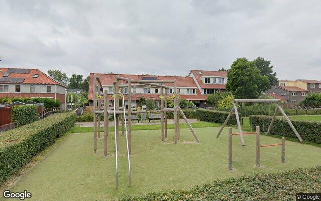 Speeltuin Blauw Glidkruid