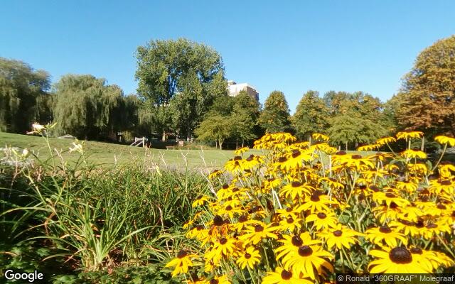 Speeltuin De Driesprong