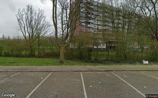 Speeltuin Oosterse tuin