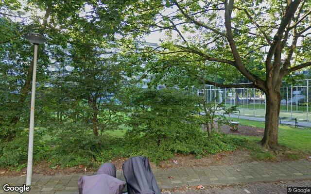 Speeltuin Reigerpad