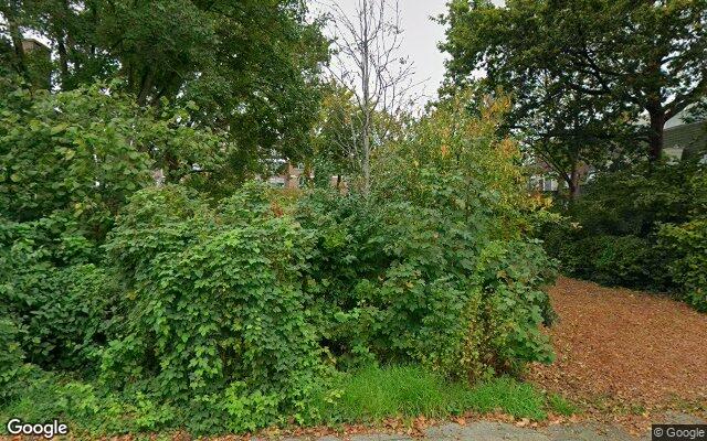 Speeltuin Bijdorp
