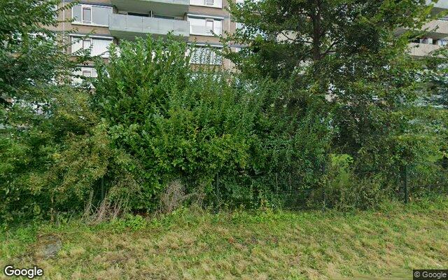 Speeltuin Noordsingel