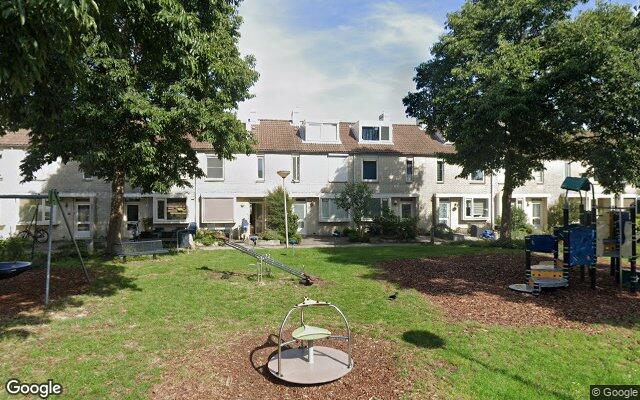 Speeltuin Vrouwenmantel