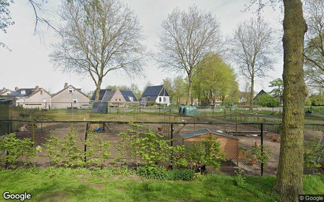 Stichting Dierenweide Ooltgensplaat