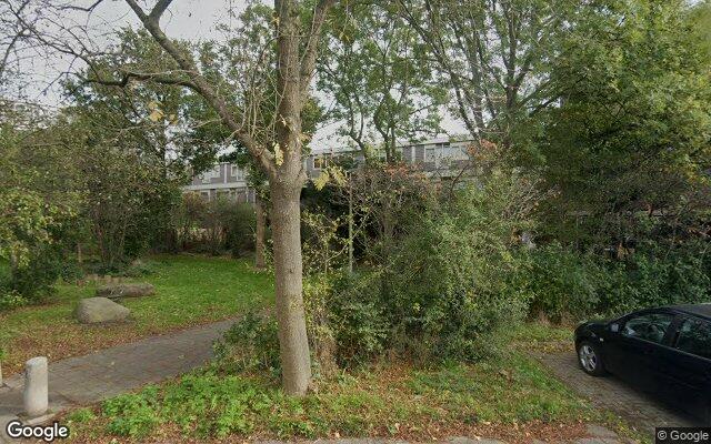 Speeltuin Korenbloemkamp