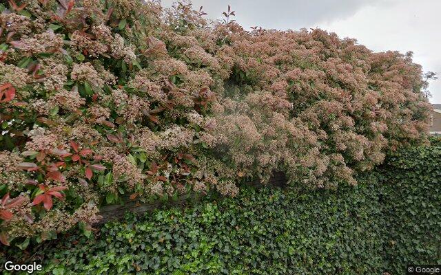 Speeltuin Watersnip