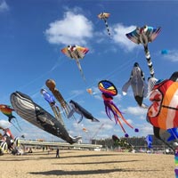 Vliegerfestival Scheveningen — muziek in Zuid-Holland