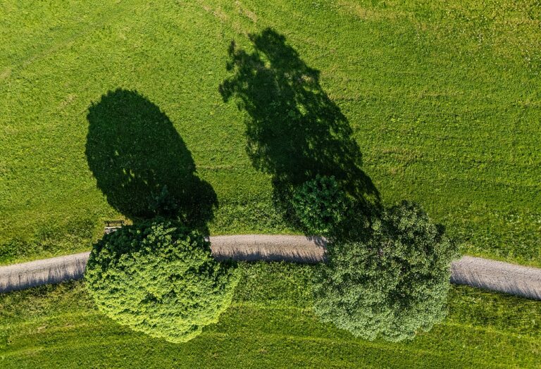 Inventarisatie stadsnatuur KNNV — Natuur in Zuid-Holland