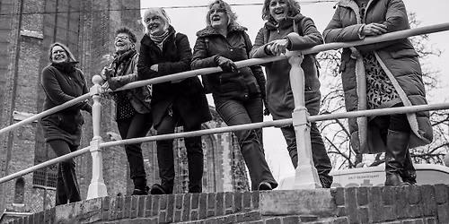 Sunday Sounds – WHY NOT! in Zuid-Holland