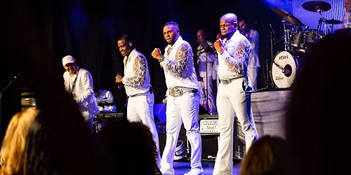 The Chicago Funk | Nobel in Zuid-Holland