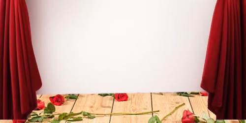 The Rose Show Comedy Competition — lezing in Zuid-Holland