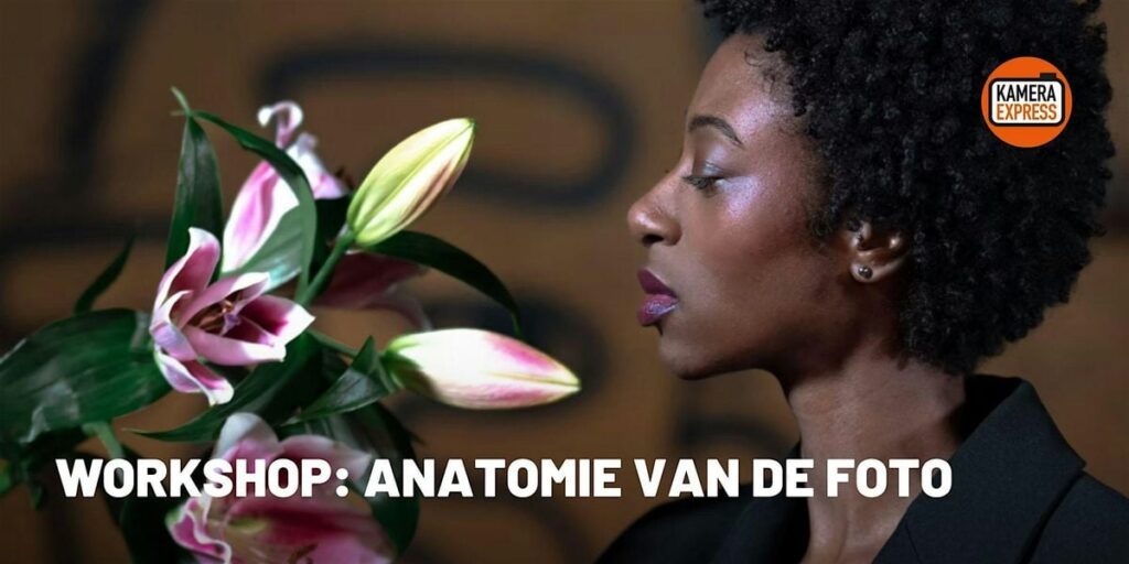Workshop: Anatomie van de Foto in Zuid-Holland