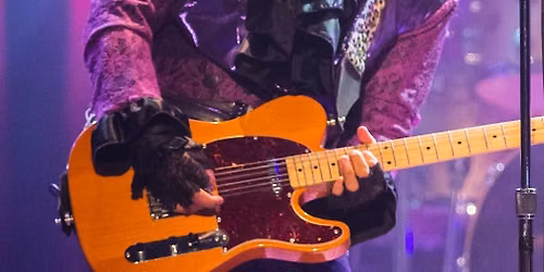 The Prince Experience Starring Gabriel Sanchez — muziek in Zuid-Holland