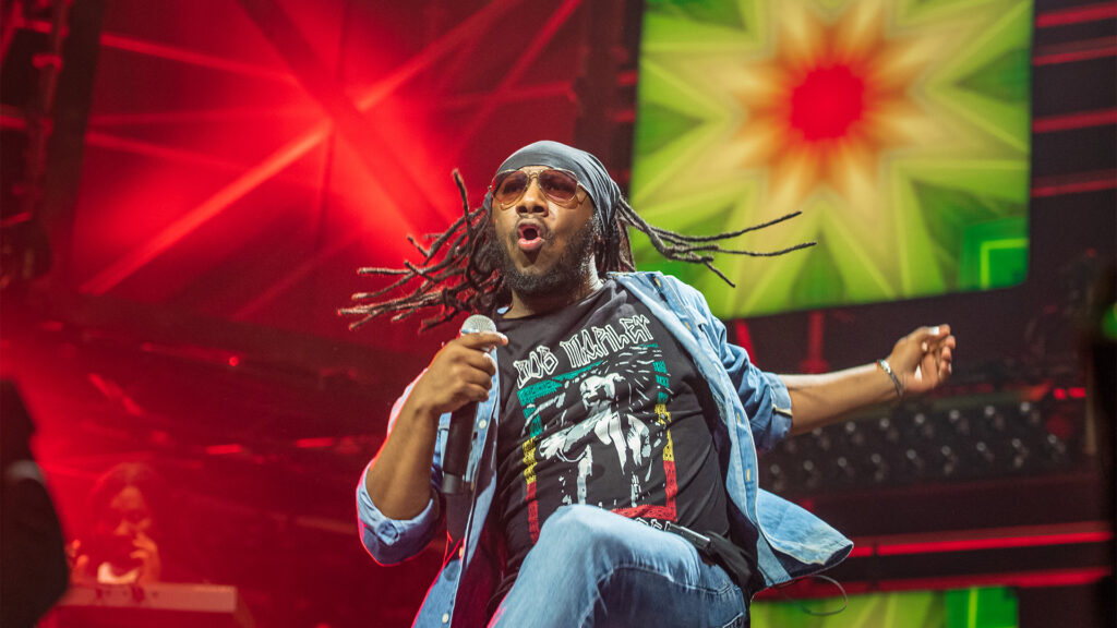 Bob Marley Tribute by Rootsriders: Exodus50 in Zuid-Holland