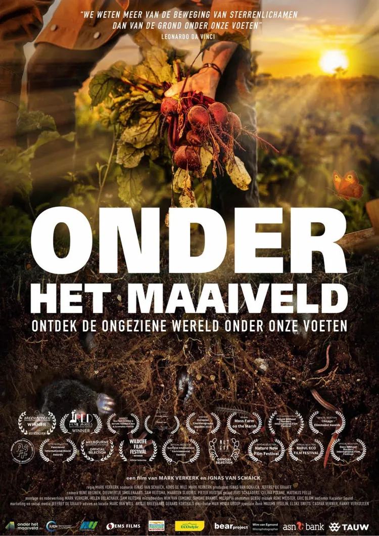 Film: Onder het Maaiveld — Film in Zuid-Holland