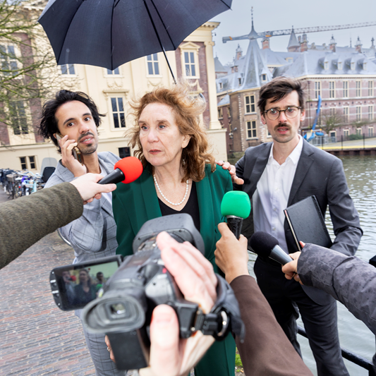 De Bestorming in Zuid-Holland