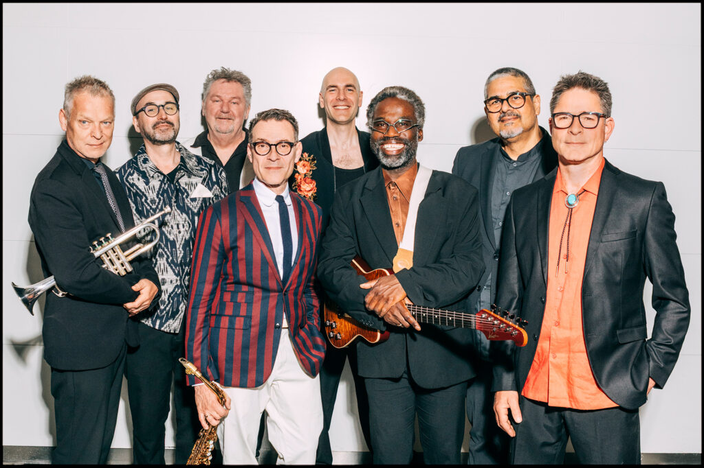 New Cool Collective in Zuid-Holland