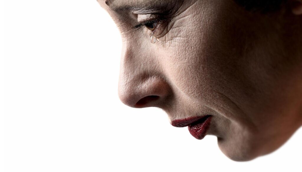 Piaf de Musical in Schiedam