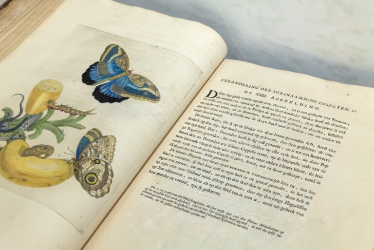 College op zondag: Getekende natuur. Over Clusius en Maria Sibylla Merian — Natuur in Zuid-Holland