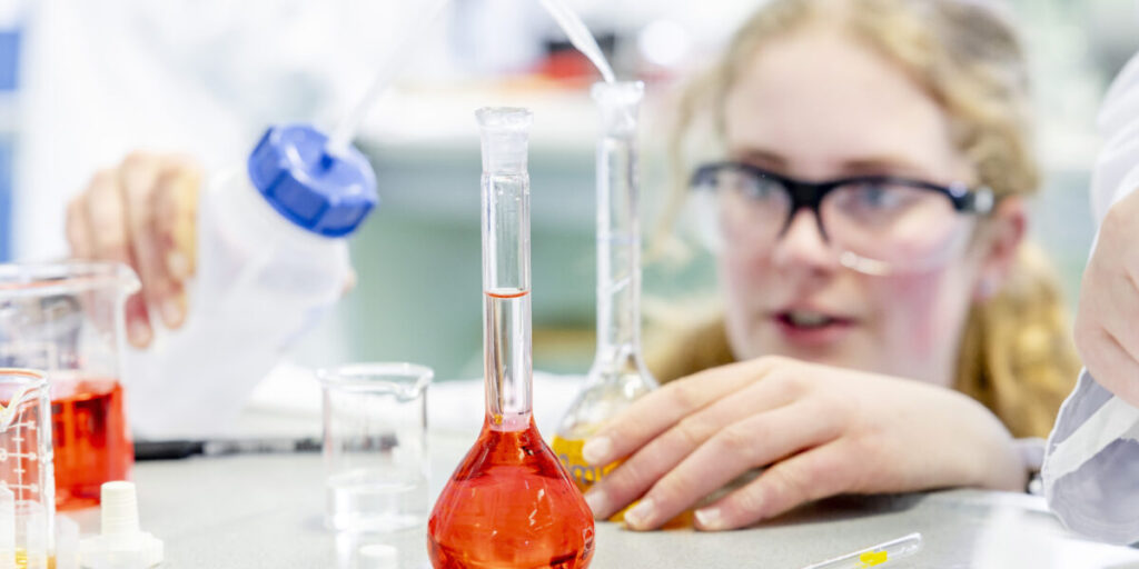 Olympiade voor havo-leerlingen in Zuid-Holland